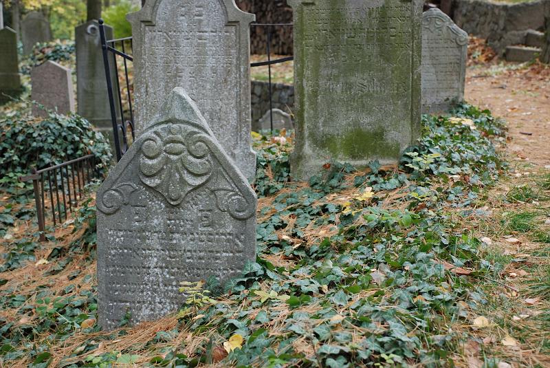 DSC_3309.JPG