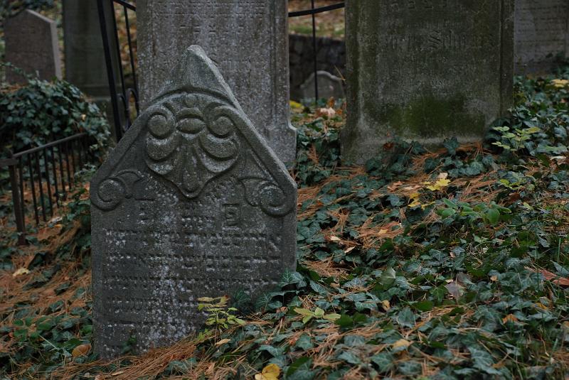 DSC_3310.JPG
