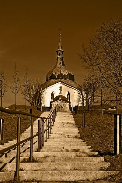 DSC_5596_1.JPG
